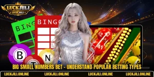 Big Small Numbers Bet - Understand Popular Betting Types